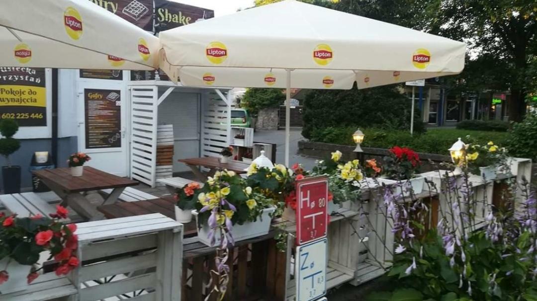 Homestay Ustecka Przystan